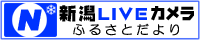 �u�V��LIVE�J�����ӂ邳�Ƃ����v